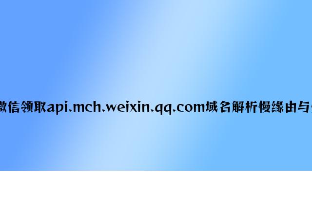 php版微信支付api.mch.weixin.qq.com域名解析慢原因与解决方法